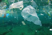 Study finds that plastic recycling from europe being dumped in Asian waters (Study) Study finds that plastic recycling from europe being dumped in Asian waters