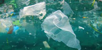 Study finds that plastic recycling from europe being dumped in Asian waters (Study) Study finds that plastic recycling from europe being dumped in Asian waters