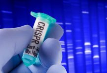 Super Fast Gene Editing With Light-activated CRISPR, Says New Study Super Fast Gene Editing With Light-activated CRISPR, Says New Study