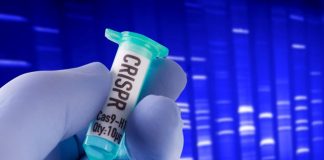 Super Fast Gene Editing With Light-activated CRISPR, Says New Study Super Fast Gene Editing With Light-activated CRISPR, Says New Study