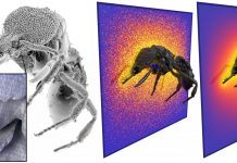 Tech: Analysis of complex geometric models made simple Analysis of complex geometric models made simple