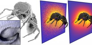 Tech: Analysis of complex geometric models made simple Analysis of complex geometric models made simple