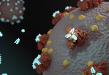 Tech: Designing anew: Radical COVID-19 drug development approach shows promise Designing anew: Radical COVID-19 drug development approach shows promise