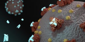 Tech: Designing anew: Radical COVID-19 drug development approach shows promise Designing anew: Radical COVID-19 drug development approach shows promise