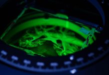 Tech: Human Brain Project announces new phase Human Brain Project announces new phase