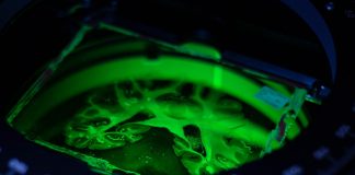 Tech: Human Brain Project announces new phase Human Brain Project announces new phase