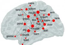 Tech: NIH study finds out why some words may be more memorable than others NIH study finds out why some words may be more memorable than others