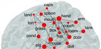 Tech: NIH study finds out why some words may be more memorable than others NIH study finds out why some words may be more memorable than others