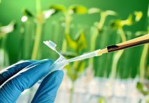 Tech: Newly designed ligands for a catalytic reaction to synthesize drugs and useful compounds Newly designed ligands for a catalytic reaction to synthesize drugs and useful compounds