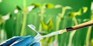 Tech: Newly designed ligands for a catalytic reaction to synthesize drugs and useful compounds Newly designed ligands for a catalytic reaction to synthesize drugs and useful compounds