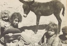 Saving Turkey’s Children (Study)