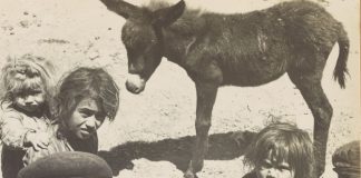 Saving Turkey’s Children (Study)