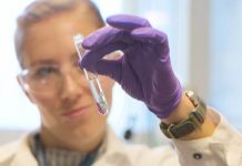 Plastic: the new fantastic? | University of Cambridge (Study)