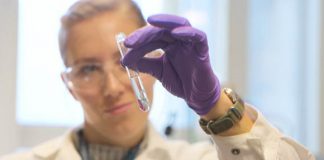 Plastic: the new fantastic? | University of Cambridge (Study)