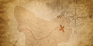 Like a treasure map, brain region emphasizes reward location (Study)