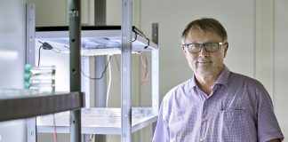 New candidate for raw material synthesis through gene transfer (Study) New candidate for raw material synthesis through gene transfer