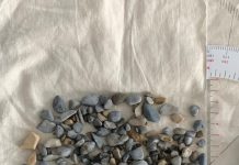 The latest findings on the MOSAiC floe (Study) The latest findings on the MOSAiC floe