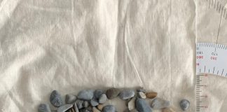 The latest findings on the MOSAiC floe (Study) The latest findings on the MOSAiC floe