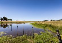 Tree rings show unprecedented rise in extreme weather in South America (Study) Tree rings show unprecedented rise in extreme weather in South America
