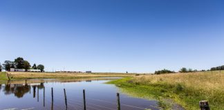 Tree rings show unprecedented rise in extreme weather in South America (Study) Tree rings show unprecedented rise in extreme weather in South America