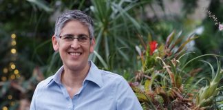 Atmospheric: Extreme rainfall events cause top-heavy aquatic food webs Extreme rainfall events cause top-heavy aquatic food webs