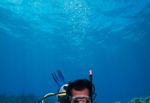 Atmospheric: University of Guam: Two climate patterns predict coral bleaching months earlier University of Guam: Two climate patterns predict coral bleaching months earlier