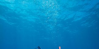 Atmospheric: University of Guam: Two climate patterns predict coral bleaching months earlier University of Guam: Two climate patterns predict coral bleaching months earlier