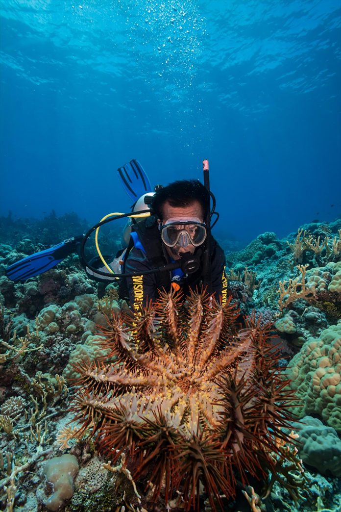 University of Guam: Two climate patterns predict coral bleaching months earlier