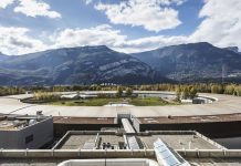 Scientists trace the origin of our teeth from the most primitive jawed fish (Study) Scientists trace the origin of our teeth from the most primitive jawed fish