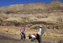 Atmospheric: Insights into climate change during origin of dinosaurs Insights into climate change during origin of dinosaurs