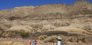 Atmospheric: Insights into climate change during origin of dinosaurs Insights into climate change during origin of dinosaurs