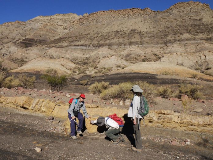 Insights into climate change during origin of dinosaurs