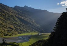 Weaving Indigenous knowledge with scientific research: a balanced approach (Study) Weaving Indigenous knowledge with scientific research: a balanced approach