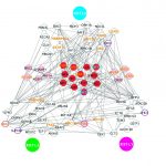 CityU’s CRISPR-assisted novel method detects RNA-binding proteins in living cells CityU's CRISPR-assisted novel method detects RNA-binding proteins in living cells