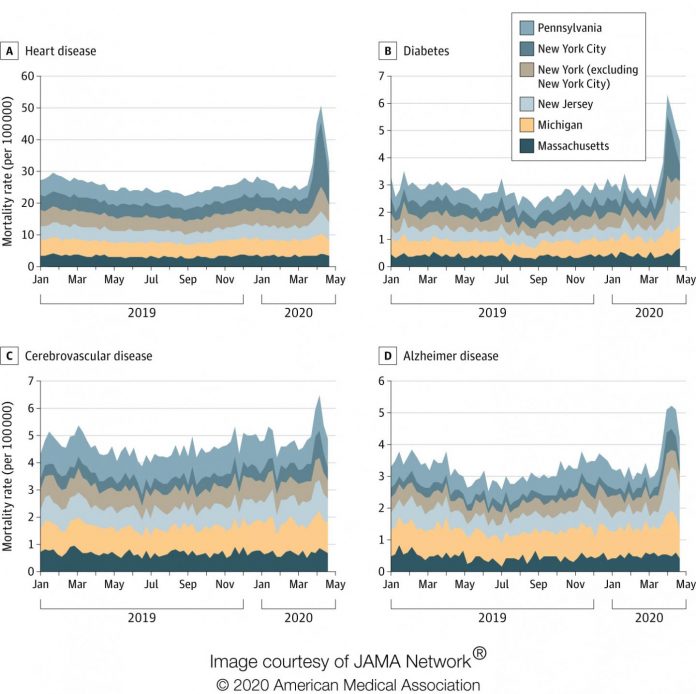 Study: 35% of excess deaths in pandemic's early months tied to causes other than COVID-19