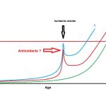 Antioxidant treatment in acute ischemic stroke may delay the onset of Alzheimer’s dementia Antioxidant treatment in acute ischemic stroke may delay the onset of Alzheimer's dementia
