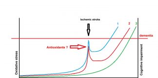 Antioxidant treatment in acute ischemic stroke may delay the onset of Alzheimer’s dementia Antioxidant treatment in acute ischemic stroke may delay the onset of Alzheimer's dementia