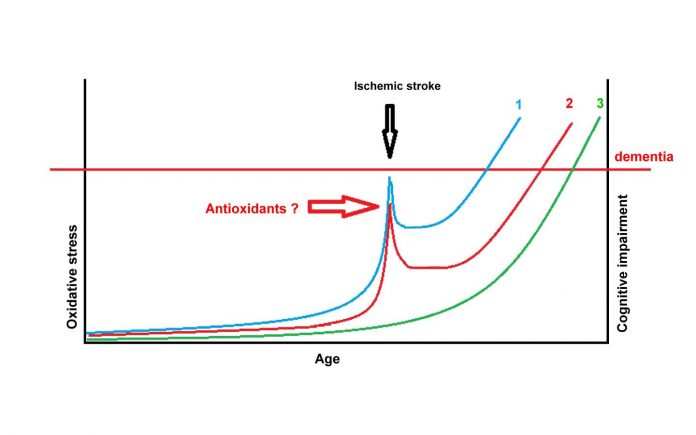 Antioxidant treatment in acute ischemic stroke may delay the onset of Alzheimer's dementia