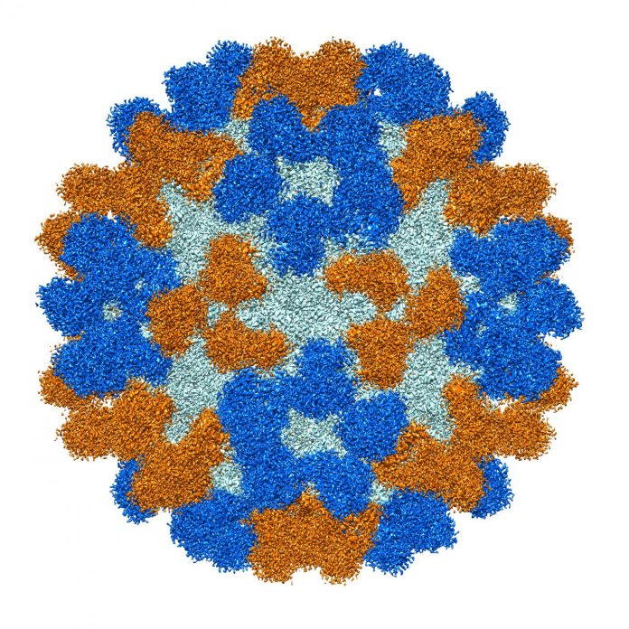 Protective antibodies identified for rare, polio-like disease in children
