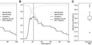 Report: Oncotarget: Correction of NSE concentration improves diagnostic accuracy in lung cancer Oncotarget: Correction of NSE concentration improves diagnostic accuracy in lung cancer