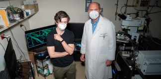 Report: Virginia Tech researchers developing new strategy to thwart Alzheimer’s Virginia Tech researchers developing new strategy to thwart Alzheimer's