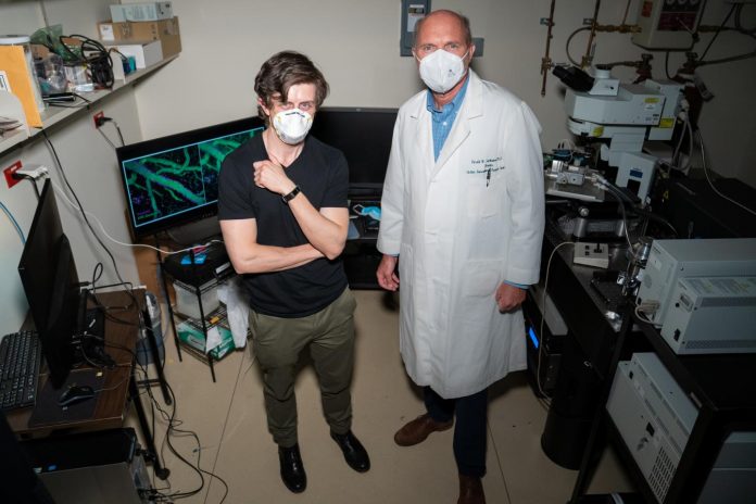 Virginia Tech researchers developing new strategy to thwart Alzheimer's