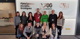 Report: A new nanoconjugate blocks acute myeloid leukemia tumor cells without harming healthy ones A new nanoconjugate blocks acute myeloid leukemia tumor cells without harming healthy ones