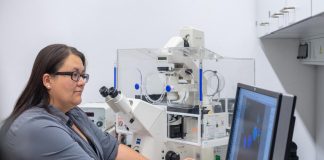 Report: Invisible defence against adenoviruses | EurekAlert! Science News Invisible defence against adenoviruses | EurekAlert! Science News