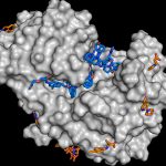 Report: New substance library to accelerate the search for active compounds New substance library to accelerate the search for active compounds