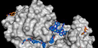 Report: New substance library to accelerate the search for active compounds New substance library to accelerate the search for active compounds