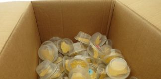 Report: Perceiving the flavor of fat: A Monell Center twins study Perceiving the flavor of fat: A Monell Center twins study