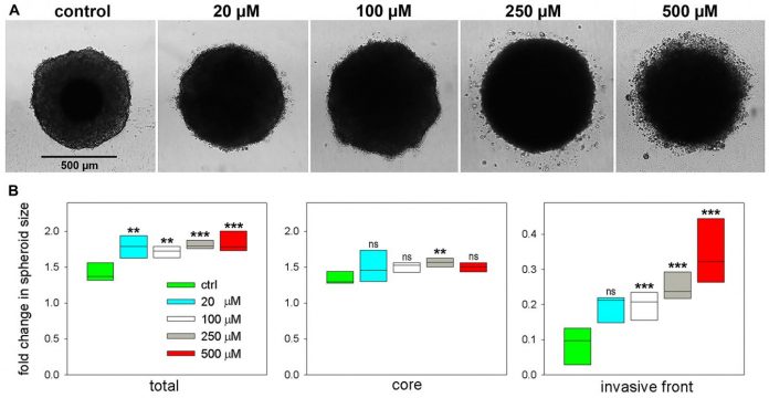 Oncotarget: Tumor markers for carcinoma identified by imaging mass spectrometry