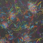 Report: When many act as one, data-driven models can reveal key behaviors When many act as one, data-driven models can reveal key behaviors