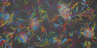 Report: When many act as one, data-driven models can reveal key behaviors When many act as one, data-driven models can reveal key behaviors